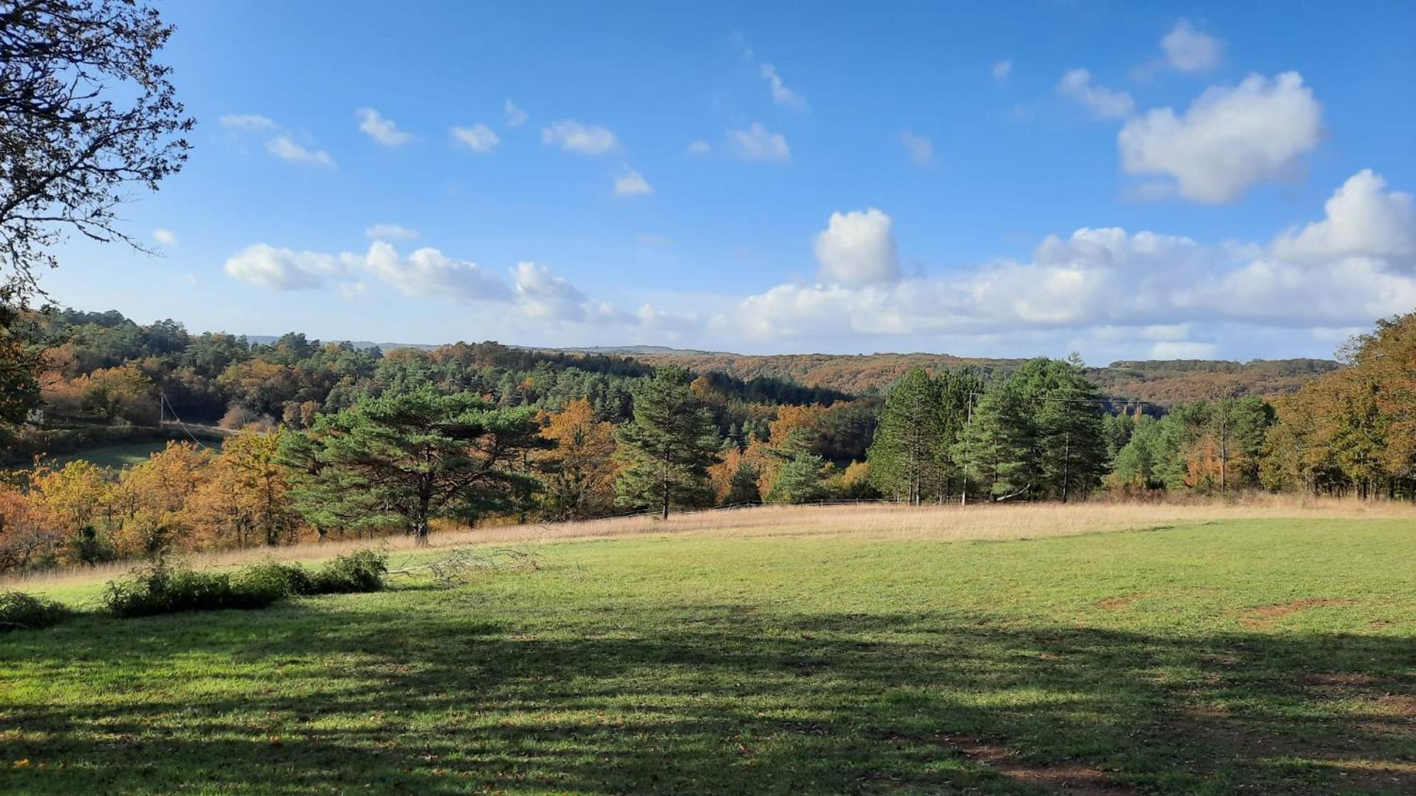 Gite Les Placettes Sainte-Foy-de-Longas Buitenkant foto